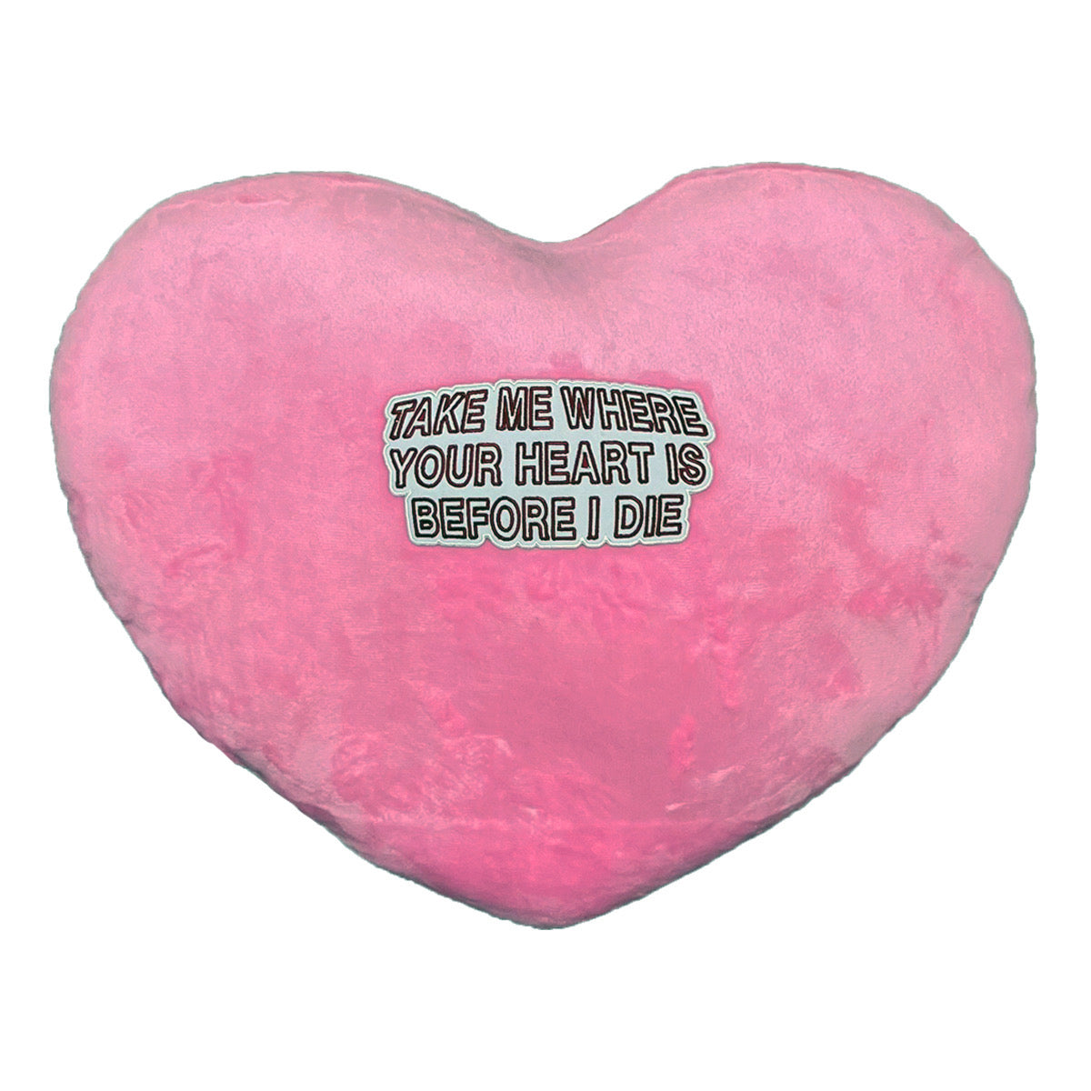 "T.M.W.Y.H.I" PILLOW image 0
