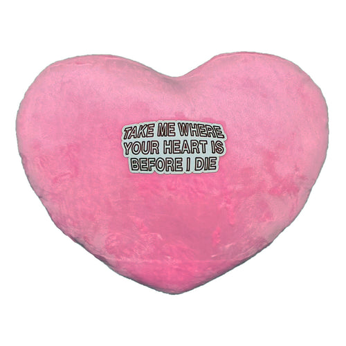 "T.M.W.Y.H.I" PILLOW image 0